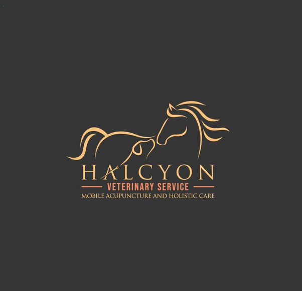 Creative Logo Design for Book Publishing Companies”