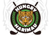 Tiger head logo design for your business