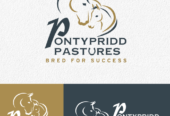 I will create high quality pet animal dog logo design