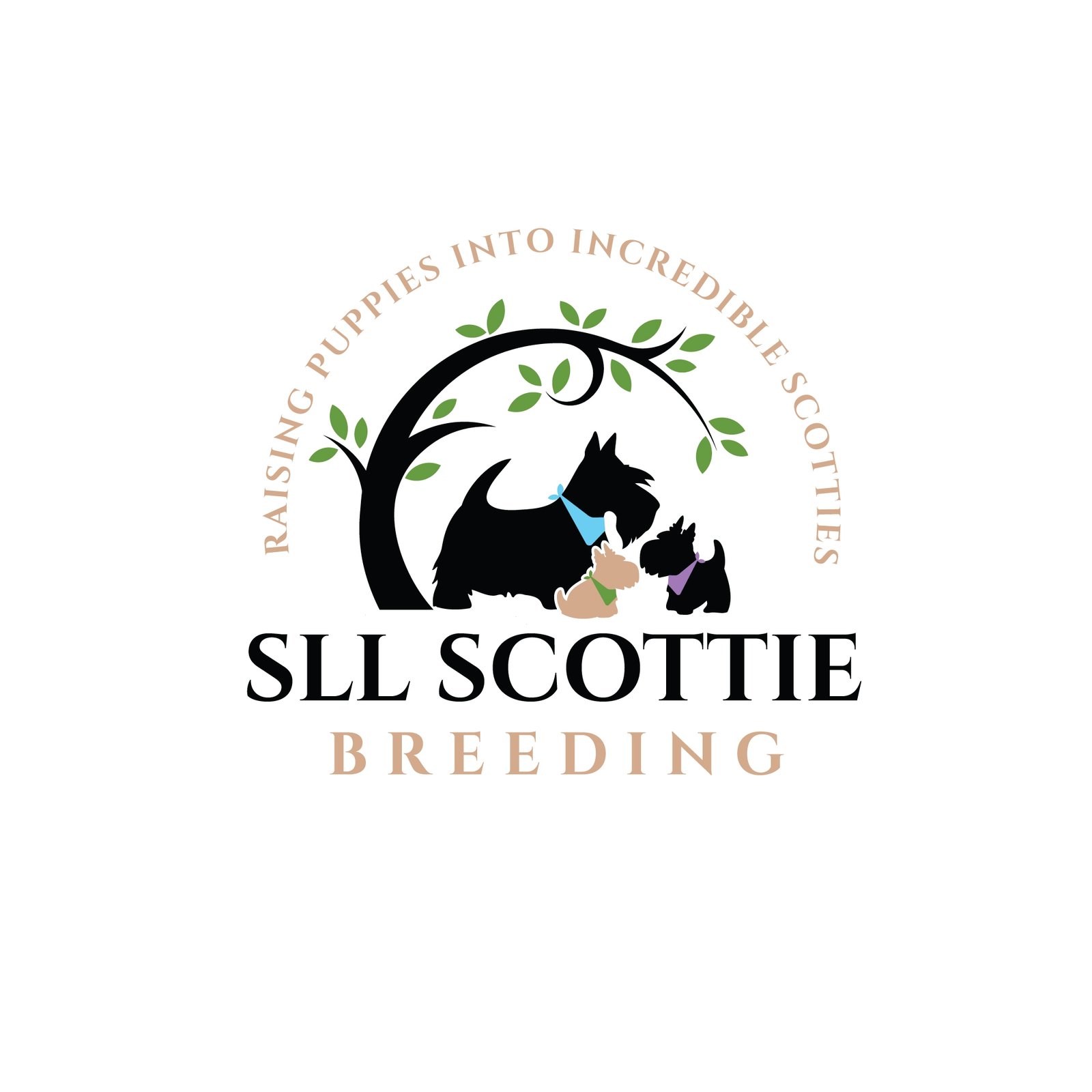 How to make modern health clinic pet care logo