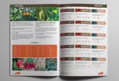 I will create catalog design, product catalog flyer, brochure