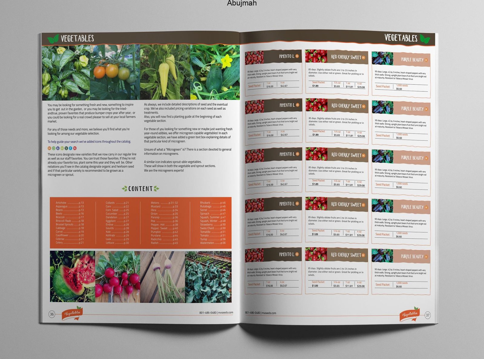 I will create catalog design, product catalog flyer, brochure