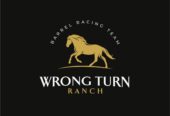 How to  create fascinating equestrian, horse racing business logo