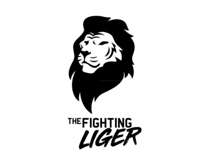 I-will-make-tiger-head-logo-for-you-with-vector-fil-19