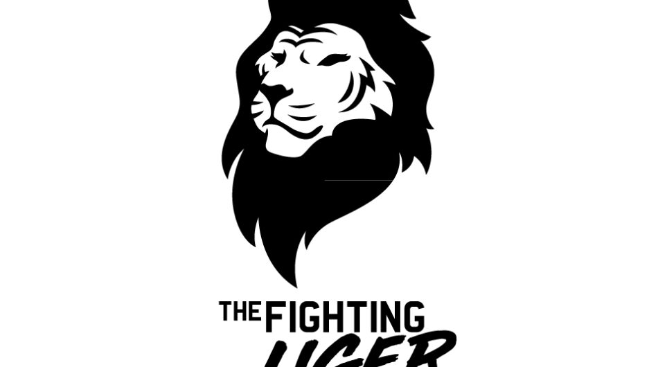 Make  a professional tiger head logo design for your business