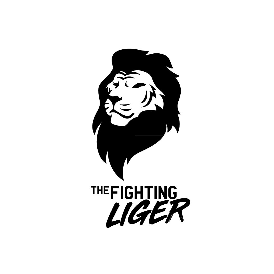 Make  a professional tiger head logo design for your business