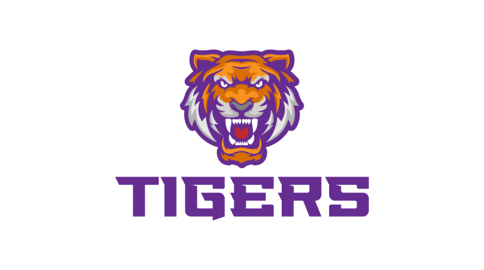 I will make tiger head logo design for your business