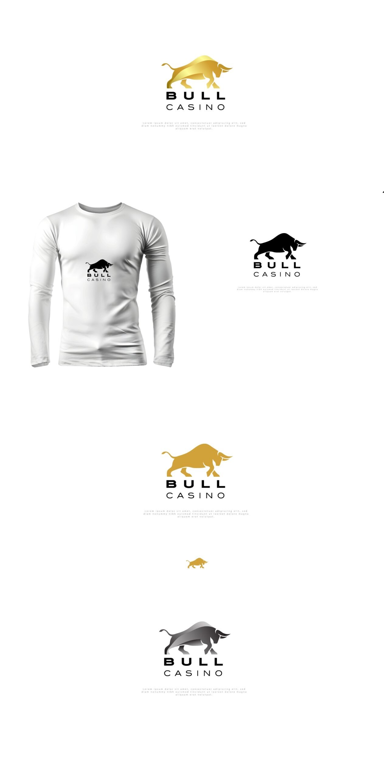 Create a professional basketball and hockey logo within 24 hour