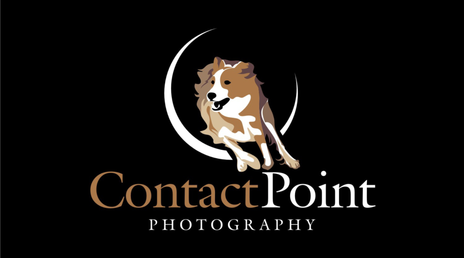 Modern animal dog pet care veterinary logo