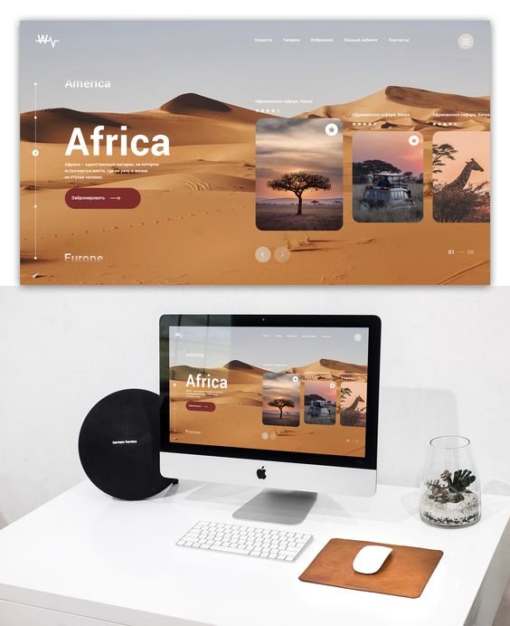 WordPress website, business, website design or blog