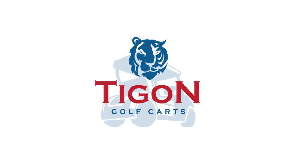 Make tiger head logo design for your business