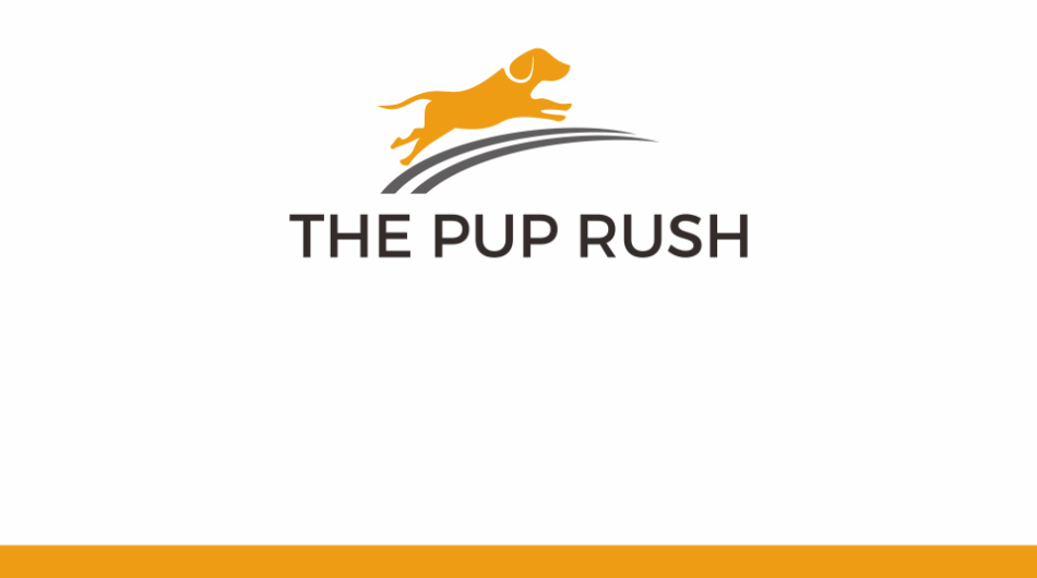 Create a dog and animal supply logo design