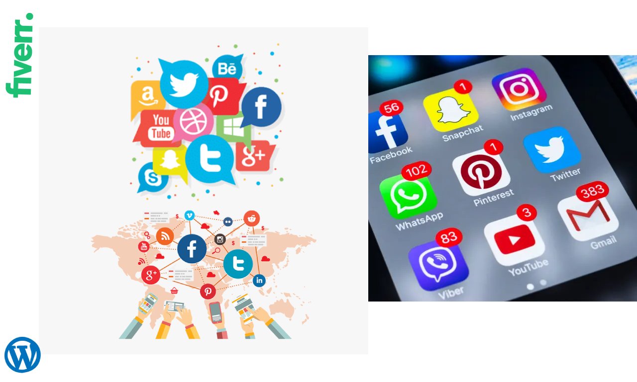 Website designer, and create business website