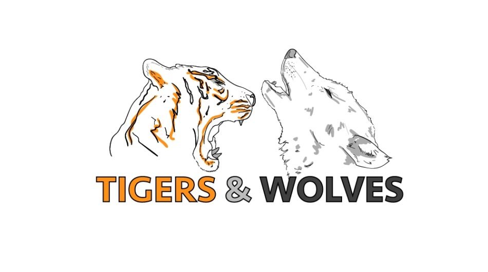 Tiger head logo design for your business