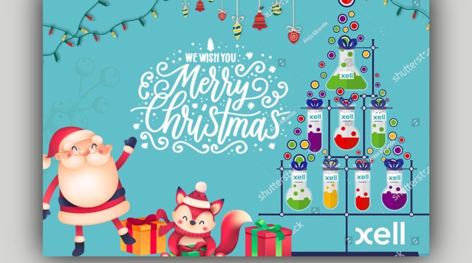 Amazing christmas, greeting or holiday card