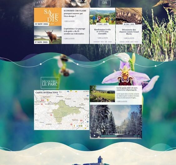 I will build responsive wordpress website design