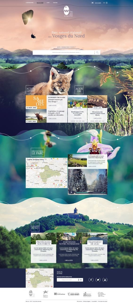 I will build responsive wordpress website design