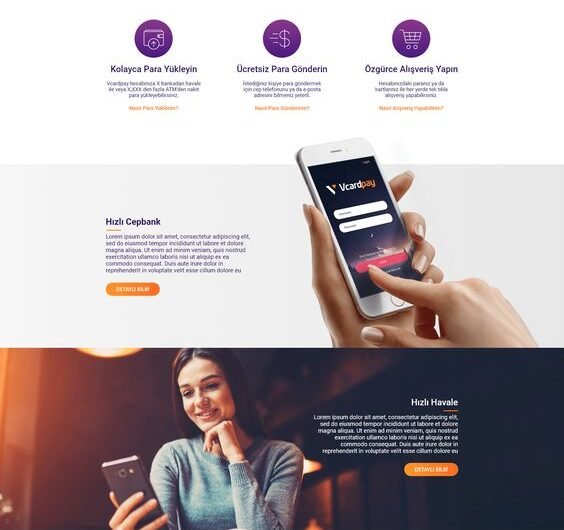 Our agency will develop blog wordpress website design