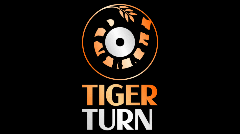 Make tiger head logo design for your business