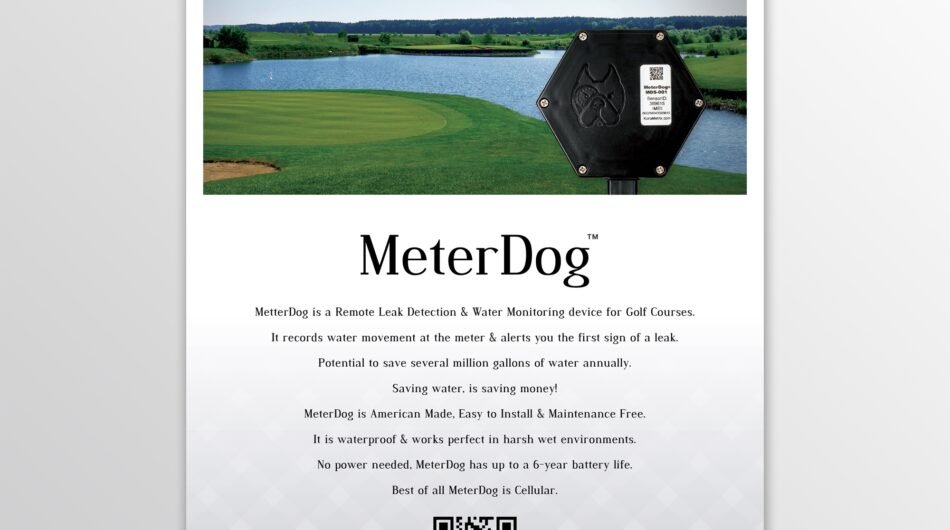 Create catalog design, product catalog flyer, brochure