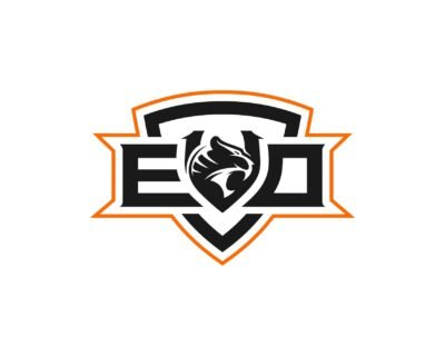 I-will-make-tiger-head-logo-design-for-your-business-18