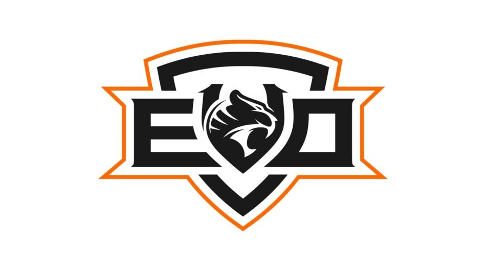 Make a tiger head logo design for your business