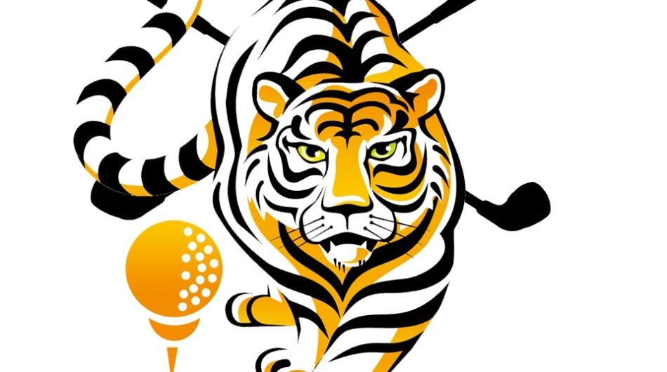 Attarctive and unique tiger head logo design for your business