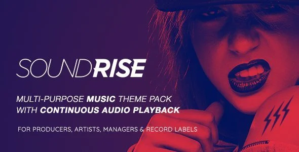 SoundRise – music artist wordpress themes