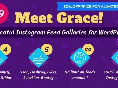 Instagram-Feed-Gallery-Grace-for-WordPress-4.0.3