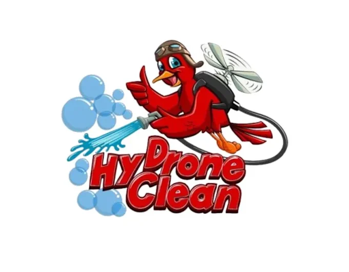 I will do cleaning and car wash logo, for cleaning service your business