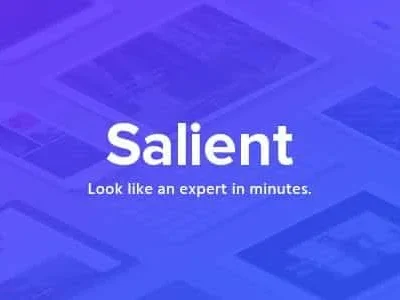 new-theme-preview.__large_preview-1