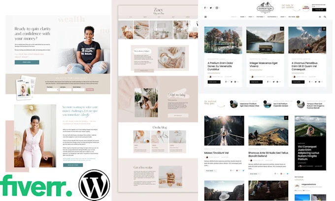 I will our agency will develop blog wordpress website design