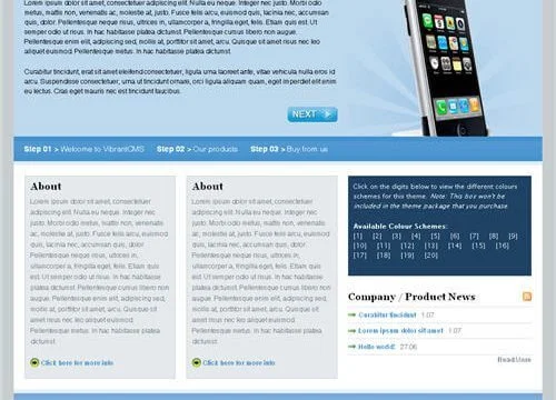 WooThemes VibrantCMS Premium Theme