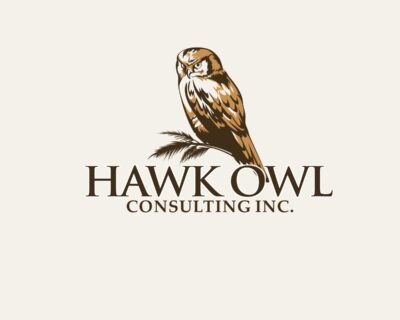 I-will-make-a-cartoon-mascot-or-caricature-logo-for-you-2