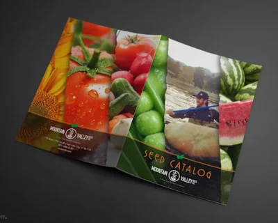 create-catalog-design-product-catalog-flyer-brochure-in-5-hours