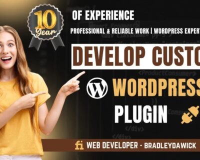 I-will-create-a-custom-wordpress-plugin-or-theme-for-you-4-1