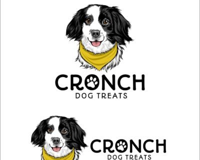 I-will-make-a-cartoon-mascot-or-caricature-logo-for-you-9