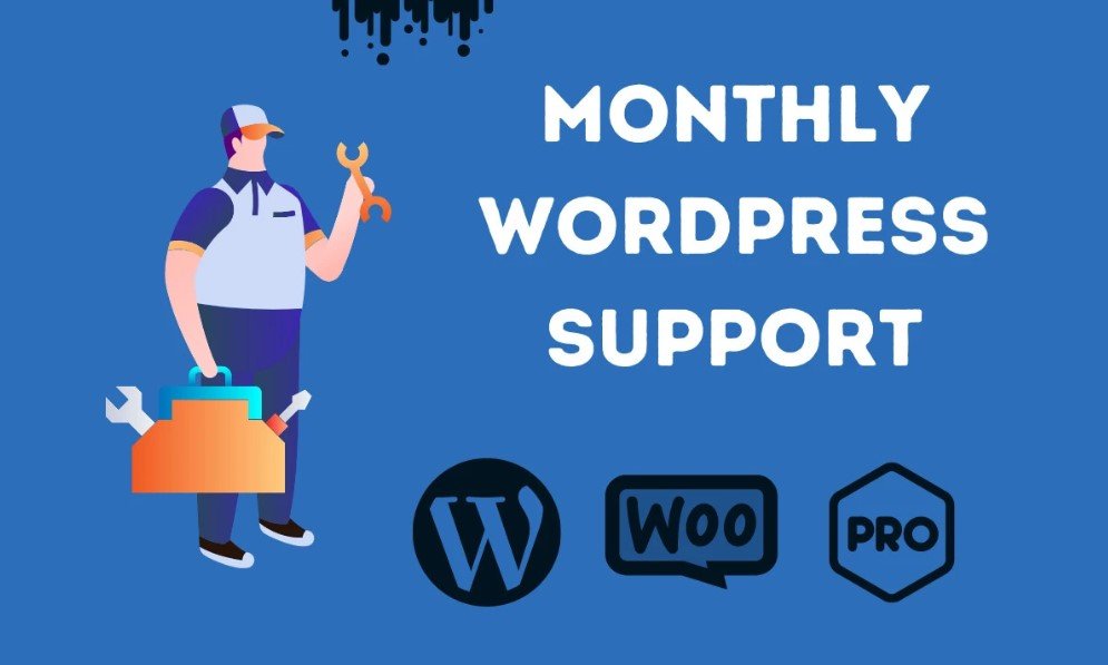 I will provide wordpress maintenance and support or help