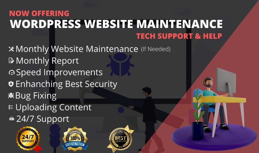 I will provide wordpress maintenance and support or help