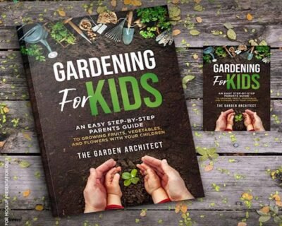 design-for-magazine-or-newspaper-or-any-ad-for-your-business