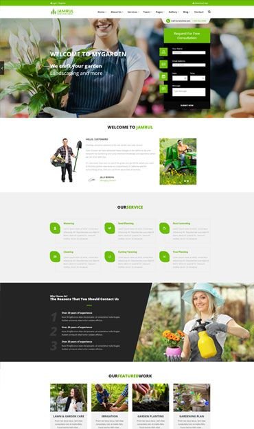 I will build wordpress website, wordpress blog, website development