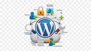 I-will-backup-migration-transfer-bigo-website-wordpress-in-2-hour-1