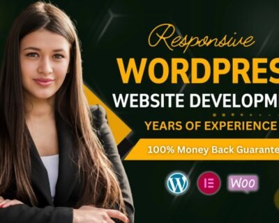 I-will-create-a-custom-wordpress-plugin-or-theme-for-you-1