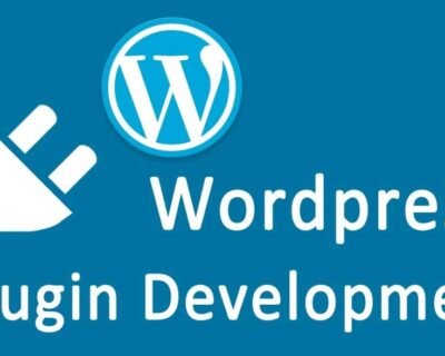 I-will-create-a-custom-wordpress-plugin-or-theme-for-you-3-1