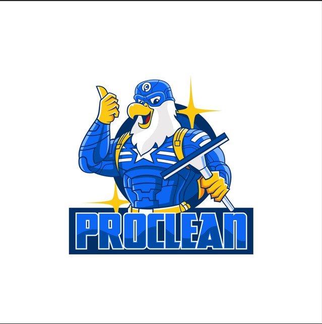 I will design cleaning and car wash logos for your business