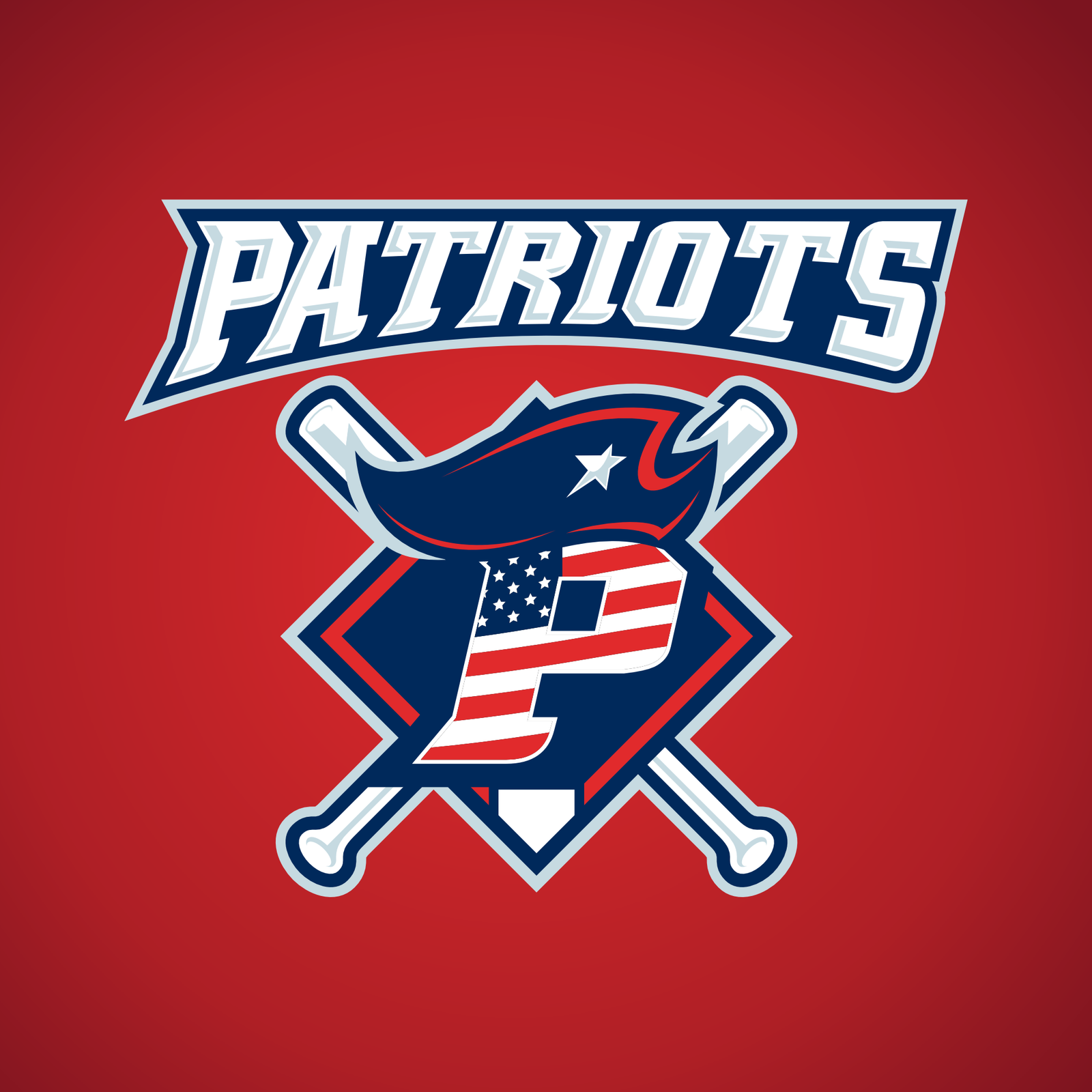 I Will Design Amazing Football, Basketball & Hockey Logos in 24 Hours