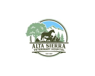 I-will-do-modern-animal-dog-pet-care-veterinary-logo-1