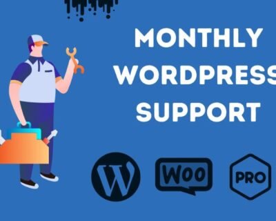 I-will-provide-wordpress-maintenance-and-support-or-help-6-1