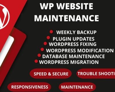 I-will-provide-wordpress-maintenance-and-support-or-help-8-1