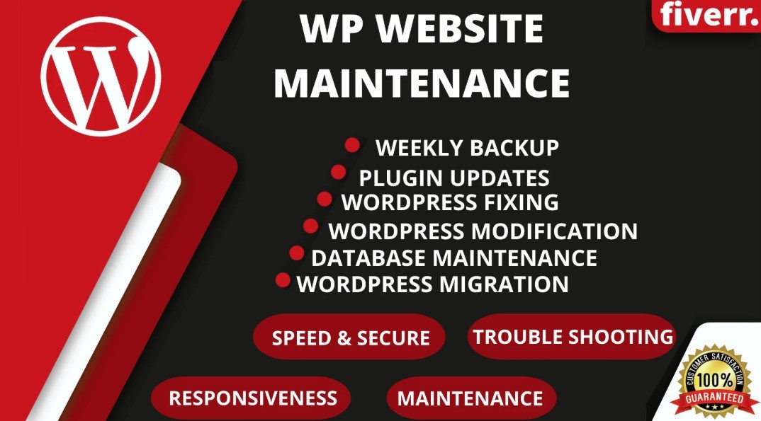 I Will Provide WordPress Maintenance and Support for Your Website